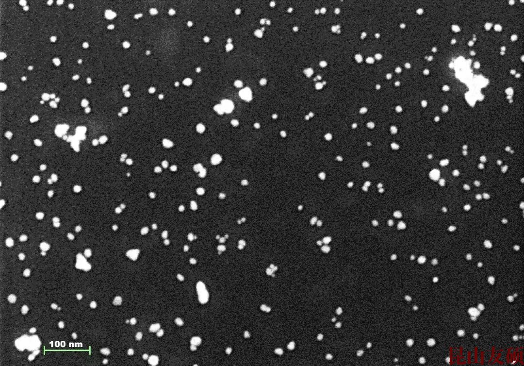 昌江昌江蔡司昌江扫描电镜